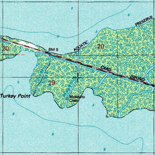 Topographic Map of Mosquito Creek, FL