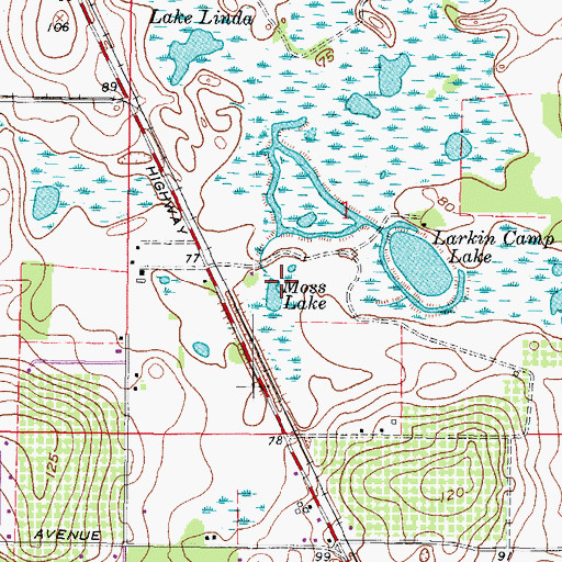Topographic Map of Moss Lake, FL
