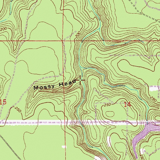 Topographic Map of Mossy Head, FL