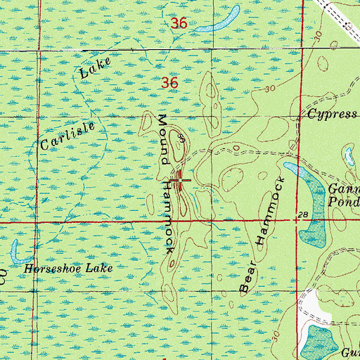 Topographic Map of Mount Hammock, FL