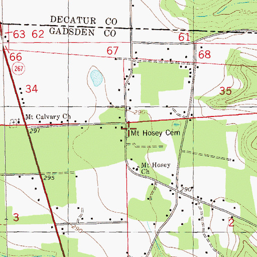 Topographic Map of Mount Hosey Cemetery, FL
