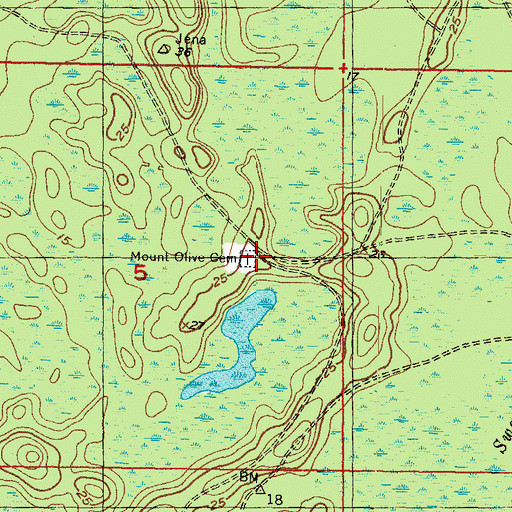 Topographic Map of Mount Olive Cemetery, FL