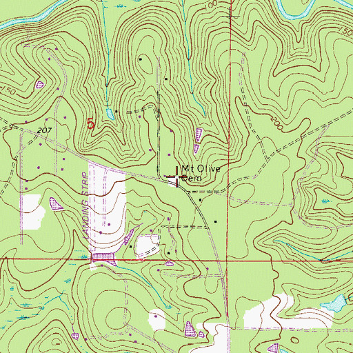 Topographic Map of Mount Olive Cemetery, FL