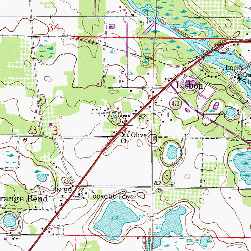 Topographic Map of Mount Olive AME Church, FL
