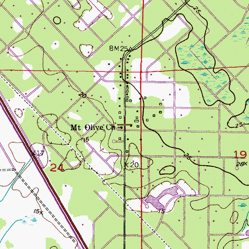 Topographic Map of Mount Olive Church, FL