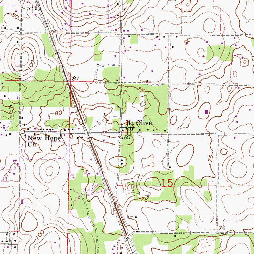 Topographic Map of Mount Olive Church, FL