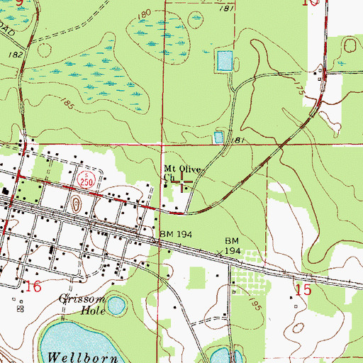 Topographic Map of Mount Olive Church, FL