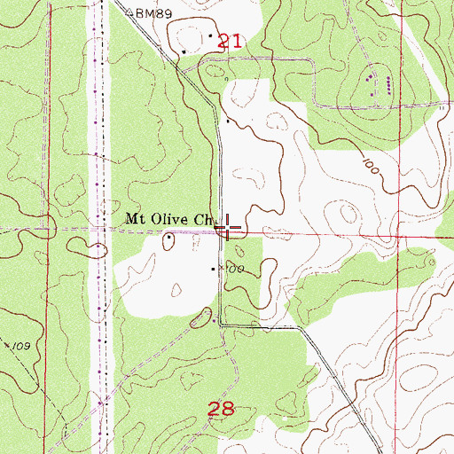 Topographic Map of Mount Olive Church, FL