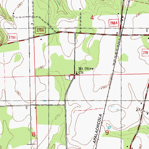 Topographic Map of Mount Olive Church, FL