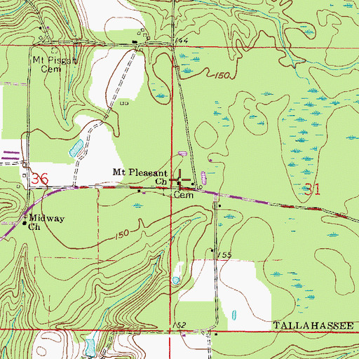 Topographic Map of Mount Pleasant Church, FL