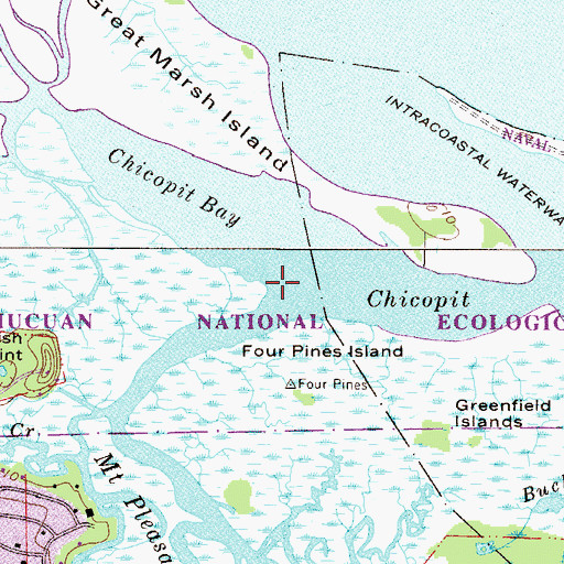 Topographic Map of Mount Pleasant Creek, FL