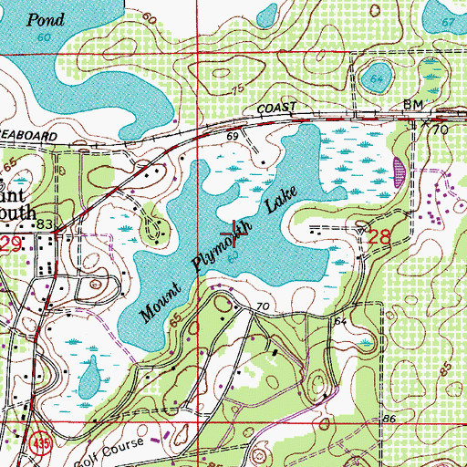 Topographic Map of Mount Plymouth Lake, FL