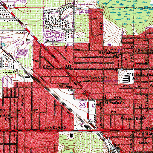 Topographic Map of Mount Sinai Church, FL