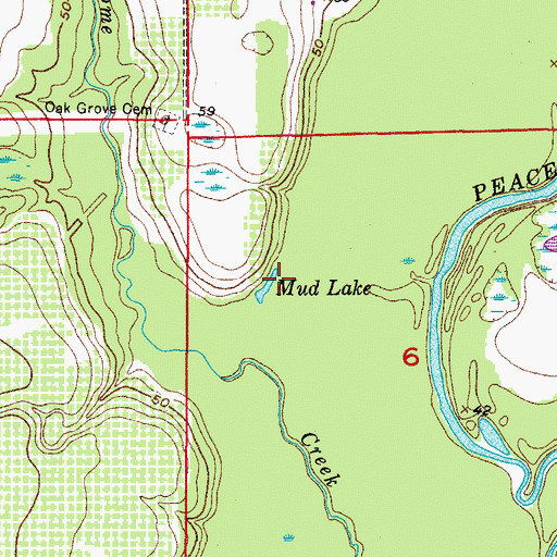 Topographic Map of Mud Lake, FL