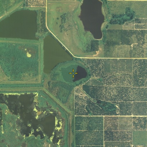 Aerial/Satellite Image of Mud Lake, FL