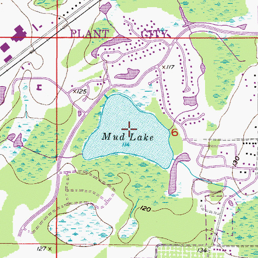 Topographic Map of Mud Lake, FL