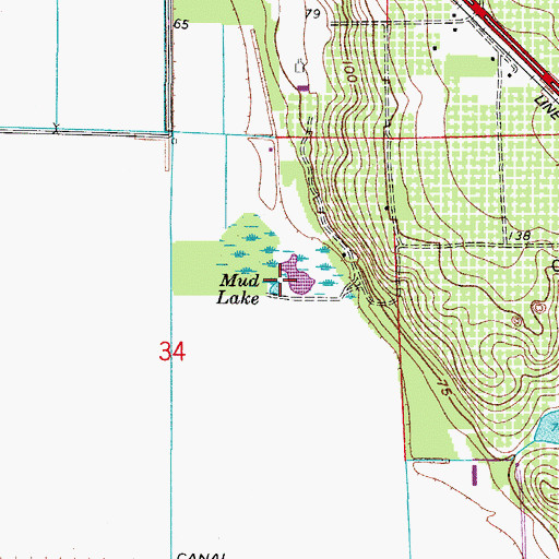 Topographic Map of Mud Lake, FL