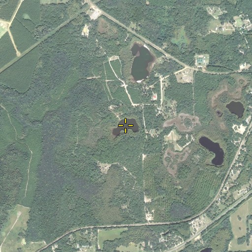 Aerial/Satellite Image of Mud Pond, FL
