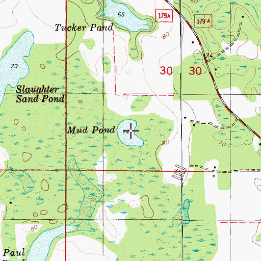 Topographic Map of Mud Pond, FL