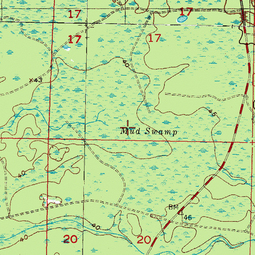 Topographic Map of Mud Swamp, FL