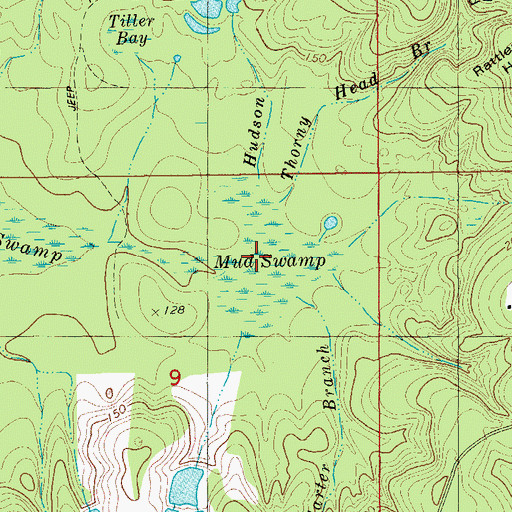 Topographic Map of Mud Swamp, FL