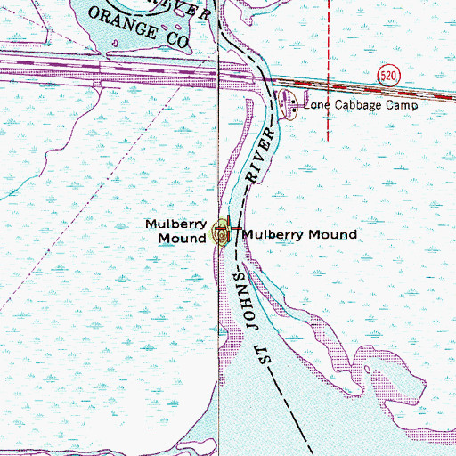 Topographic Map of Mulberry Mound, FL
