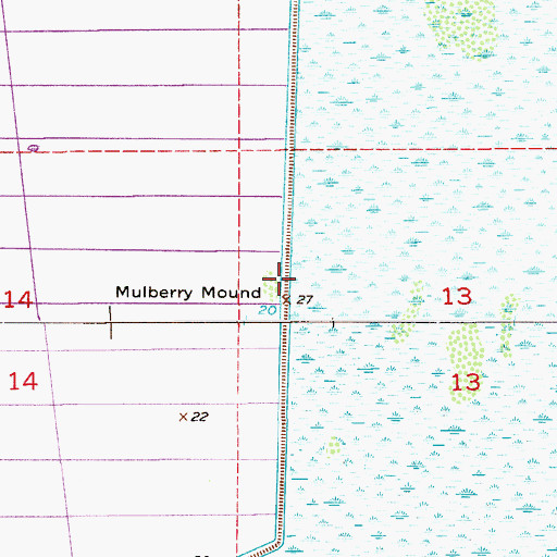 Topographic Map of Mulberry Mound, FL