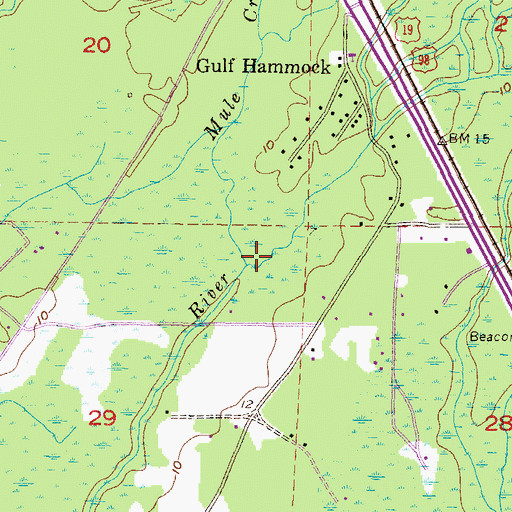 Topographic Map of Mule Creek, FL