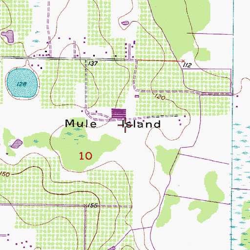 Topographic Map of Mule Island, FL