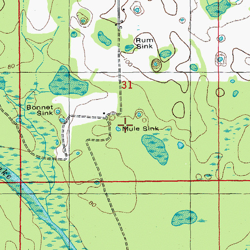 Topographic Map of Mule Sink, FL