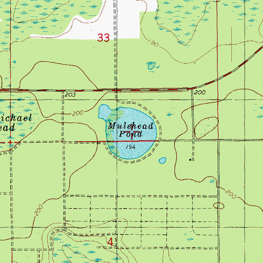Topographic Map of Mulehead Pond, FL