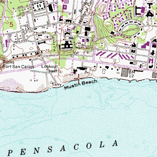 Topographic Map of Mustin Beach, FL
