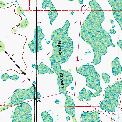 Topographic Map of Myrtle Slough, FL