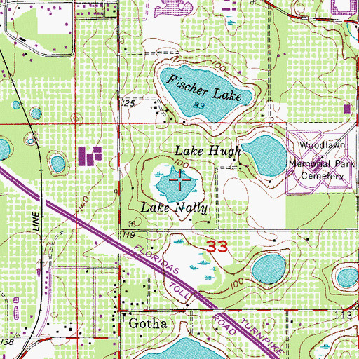 Topographic Map of Lake Nally, FL