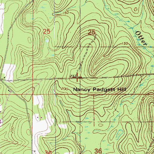 Topographic Map of Nancy Padgett Hill, FL