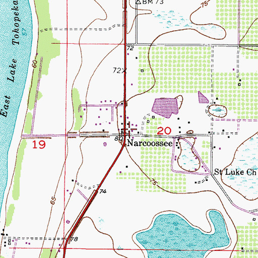 Topographic Map of Narcoossee, FL