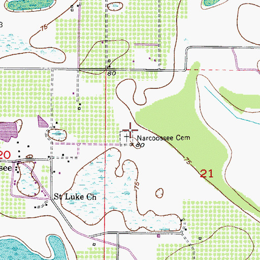 Topographic Map of Narcoossee Arthur Fell Cemetery, FL