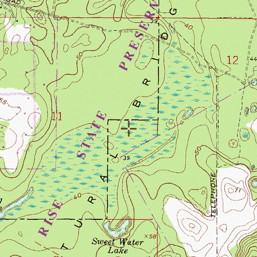 Topographic Map of Natural Bridge, FL