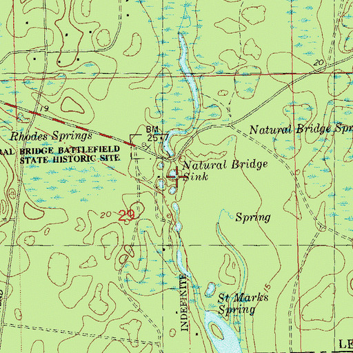 Topographic Map of Natural Bridge Sink, FL