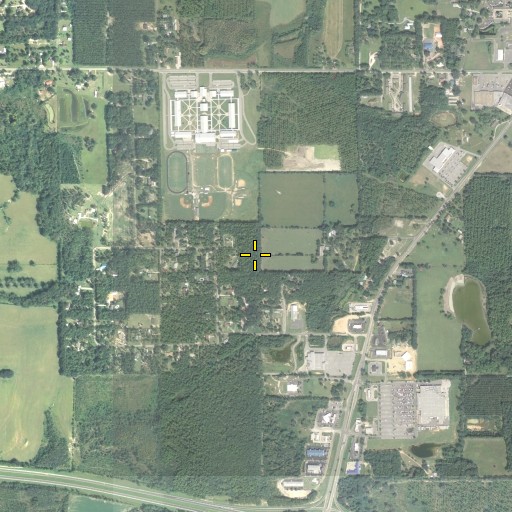 Aerial/Satellite Image of Nearing Hill, FL