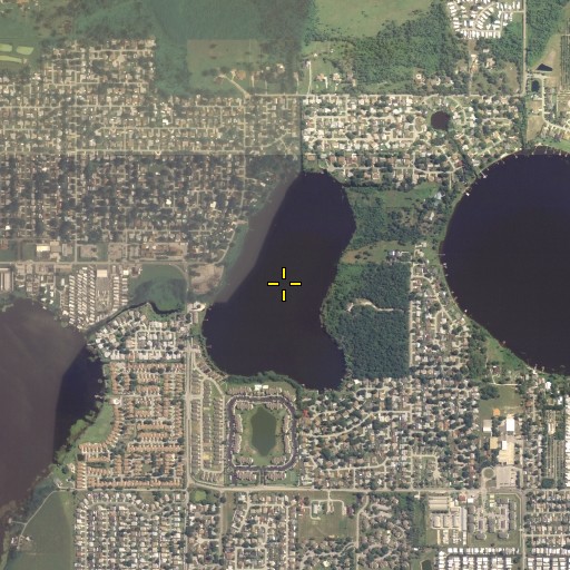 Aerial/Satellite Image of Ned Lake, FL