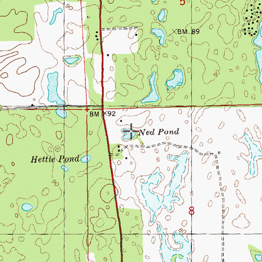 Topographic Map of Ned Pond, FL