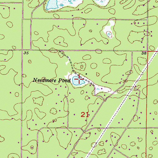 Topographic Map of Needmore Pond, FL