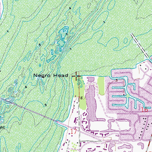 Topographic Map of Negro Head, FL