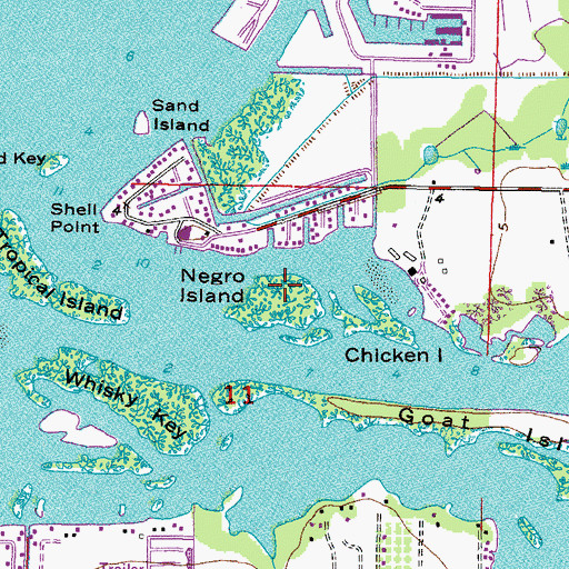 Topographic Map of Negro Island, FL