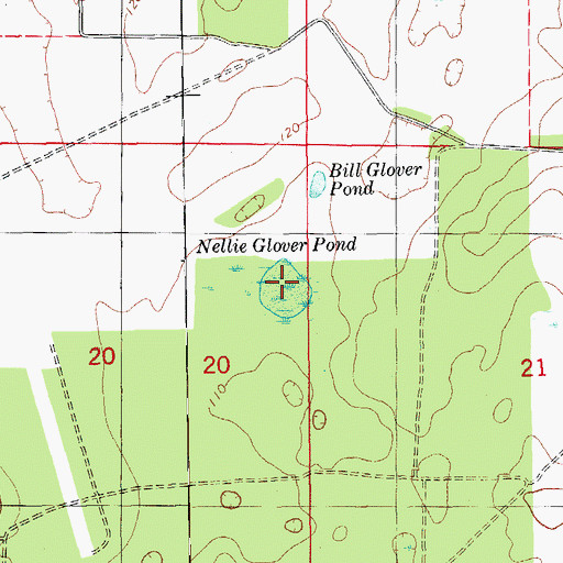 Topographic Map of Nellie Glover Pond, FL