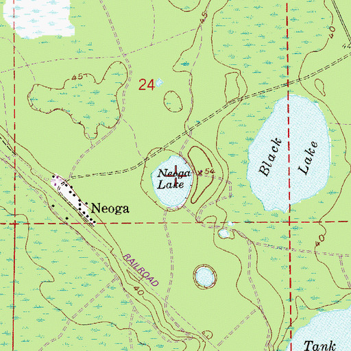 Topographic Map of Neoga Lake, FL