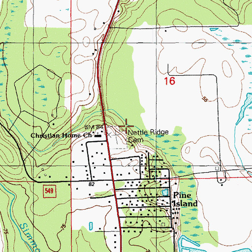 Topographic Map of Nettle Ridge Cemetery, FL