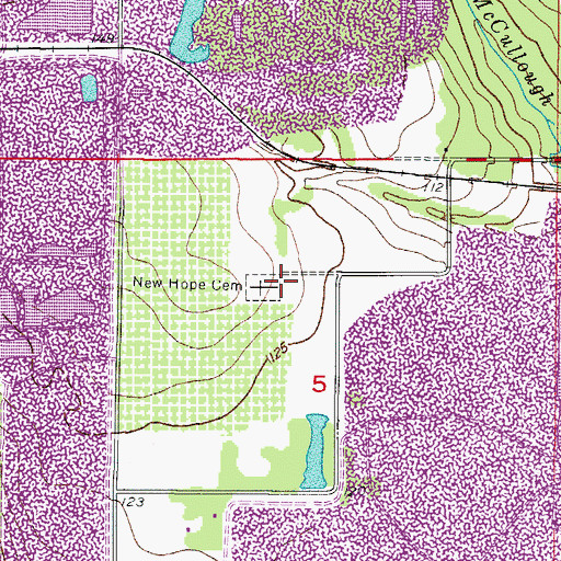 Topographic Map of New Hope Cemetery, FL