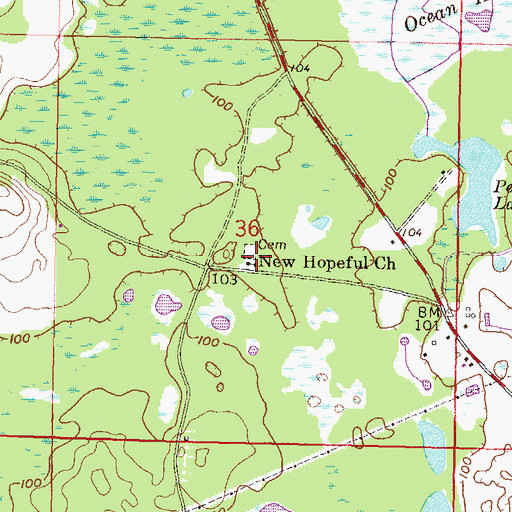 Topographic Map of New Hopeful Church, FL